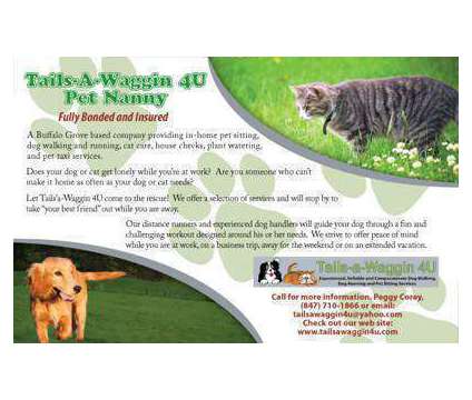 Tails-a-Waggin 4U Dog Walker, Pet Sitter, Dog Runner is a Pet Sitting service in Buffalo Grove IL
