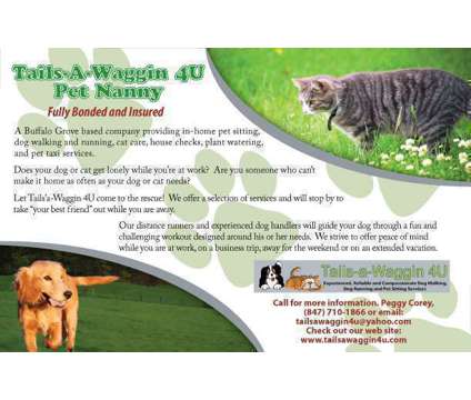 Tails-a-Waggin 4U Dog Walker, Pet Sitter, Dog Runner Buffalo Grove, IL is a Dog Walking service in Buffalo Grove IL