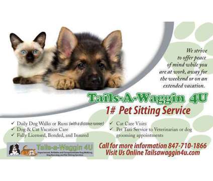 Tails-a-Waggin 4U Dog Walker, Pet Sitter, Dog Runner Buffalo Grove, IL is a Dog Walking service in Buffalo Grove IL