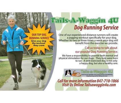 Tails-a-Waggin 4U Dog Walker, Pet Sitter, Dog Runner Buffalo Grove, IL is a Dog Walking service in Buffalo Grove IL