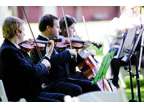 Need a wedding string quartet, trio, or duet? 15 years experience