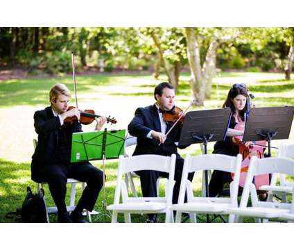 Need a wedding string quartet, trio, or duet? 15 years experience is a Party &amp; Entertainment Services service in Atlanta GA