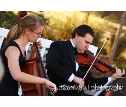 Need a wedding string quartet, trio, or duet? 15 years experience is a Party &amp; Entertainment Services service in Atlanta GA
