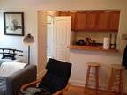 1 Bed Apartment for Sublease or New Lease in Ravenswood