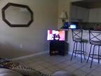 Furnished modest 1 bed condo for rent