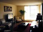 Amazing Studio--Separate Kitchen--New Renos--All Util Incl