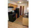 Affordable, Newly Remodeled 1BR Close to Uptown & Downtown (2738 Pillsbury Avenu