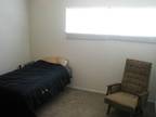 $565 / 1br - 528ft² - 1 Bed, 1 Bathroom Apartment for rent. $565/mo