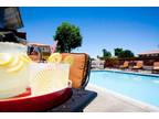 $799 / 2br - 673ft² - LUXURY LIVING FOR THE BEST PRICES IN THE DESERT!
