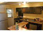 $609 / 2br - 850ft² - Newly renovated 2 bedroom flat! Awesome move in