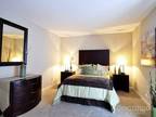 $650 / 1br - 550ft² - one bedroom one bathroom vinyl floors available on 2nd