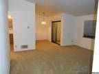 Large Lacey 2 Bedroom 1 Bath