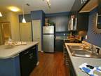 $1153 / 1br - 698ft² - Best features in town!! 1/1 new apt. for rent!