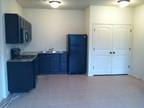 $515 / 1br - 500ft² - NEW ONE BEDROOM APARTMENTCLOSE TO FREEMAN GREAT
