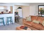 $943 / 1br - 720ft² - Completely renovated 1br 1bath w/washer/dryer hook-up.