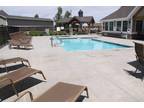 $1045 / 3br - ❂See how the sun is shining❂and our pool is