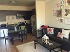2b/2b Apartment Sublease Avail