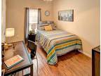 Apartment sublease for Spring 2016