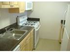 Great Studio apartment..Comm Ave..Separate Kitchen..For 1/1/16