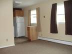 one bedroom remodeled apartment for rent on September 1 in brookings area