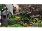 1 Bed - Uptown at Lake Oswego
