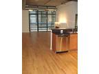 Chicago Loop Condo for Rent