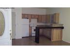 New 2 bedroom apartment central El Paso