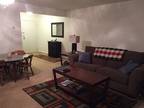 Very Large 1 BR/1BA Apartment on North Campus, Starting May