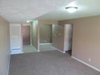 Remodeled 1 bedroom options to move in immediatley