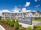 1 Bed - Avalon Ossining