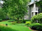 1 Bed - The Conservatory at Druid Hills
