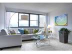 1 Bed - The Soundview at Savin Rock
