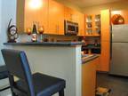 1 Bed - Grigio Tempe Town Lake