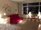 1 BR MODERN, FURNISHED STUDIO FOR SUMMER SUBLET (SW Waterfront)