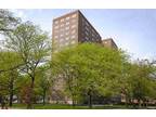 Savoy Park - 620 Lenox Avenue : Studio 1 ba