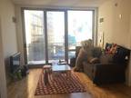 Spacious room for sublet in downtown Chicago