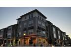 $3899 / 1br - 1110ft² - Madera - New Apartments in Downtown MV.