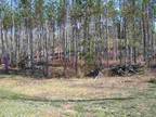 Buckley, MI, Grand Traverse County Land/Lot for Sale