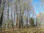 Buckley, MI, Wexford County Land/Lot for Sale