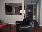 $1500 / 1br - Furnished professional 2 room suite in brand new home (Houston