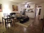 Renovated 1 br/1 ba apartment in North Davis, available now