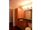 $1280 / 1br - 560ft² - Spacious and luxurious studio right next to campus!