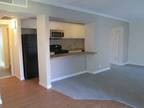 $799 / 2br - HALF OFF RENT IN SEPT! Beautiful remodeled 2 bedroom apts at