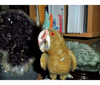 Gorgeous and Beautiful Natural Aragonite Gemstone Cockatoo Bird Carving is a Orange Collectibles for Sale in New York NY