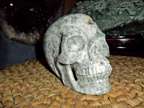 Exceptionally Gorgeous and Beautiful Tree Agate Carved Crystal Skull
