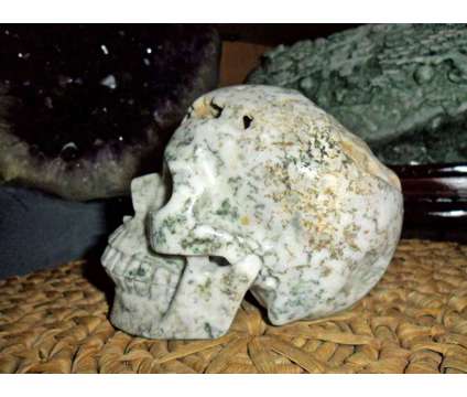 Exceptionally Gorgeous and Beautiful Tree Agate Carved Crystal Skull is a Green, White Collectibles for Sale in New York NY