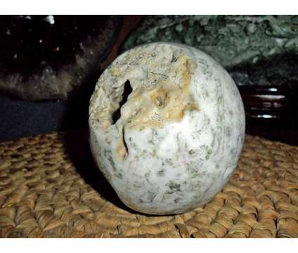 Exceptionally Gorgeous and Beautiful Tree Agate Carved Crystal Skull is a Green, White Collectibles for Sale in New York NY