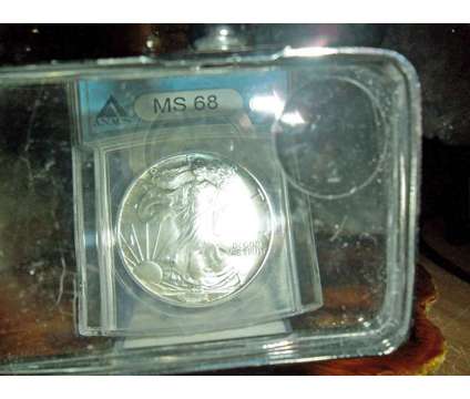 Exceptional and Beautiful American Silver Eagle Dollar {1994-P ANACS Struck Thru is a Coins for Sale in New York NY