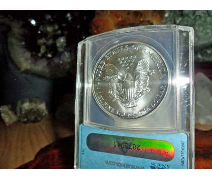 Exceptional and Beautiful American Silver Eagle Dollar {1994-P ANACS Struck Thru is a Coins for Sale in New York NY
