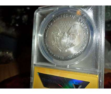 Gorgeous American Silver Eagle Dollar {2010-P ANACS MS 67} is a Coins for Sale in New York NY
